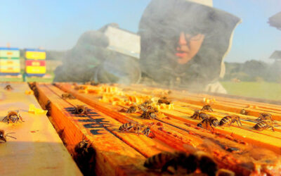 Spędź z nami jeden dzień w gospodarstwie