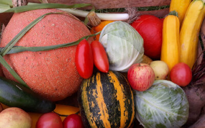 Świeżo z naszego gospodarstwa na wyciągnięcie ręki