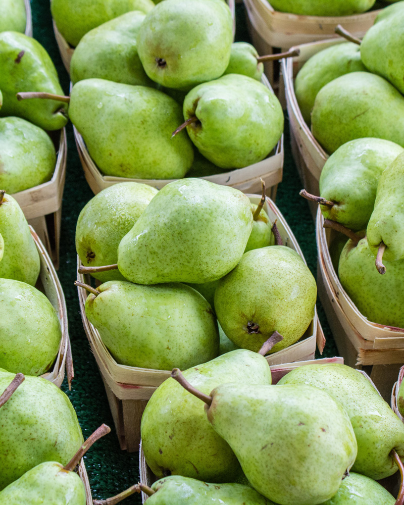 gt-foodstore-product-15