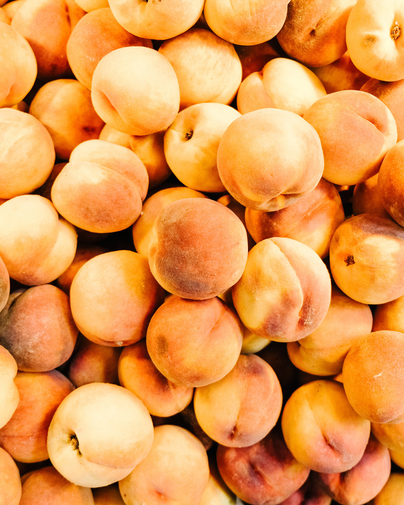 gt-foodstore-product-28