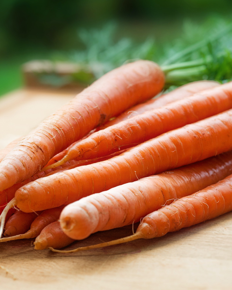 gt-foodstore-product-43